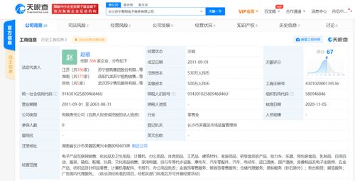 長(zhǎng)沙蘇寧易購(gòu)電子商務(wù)注銷 決議解散廣告代理業(yè)務(wù)